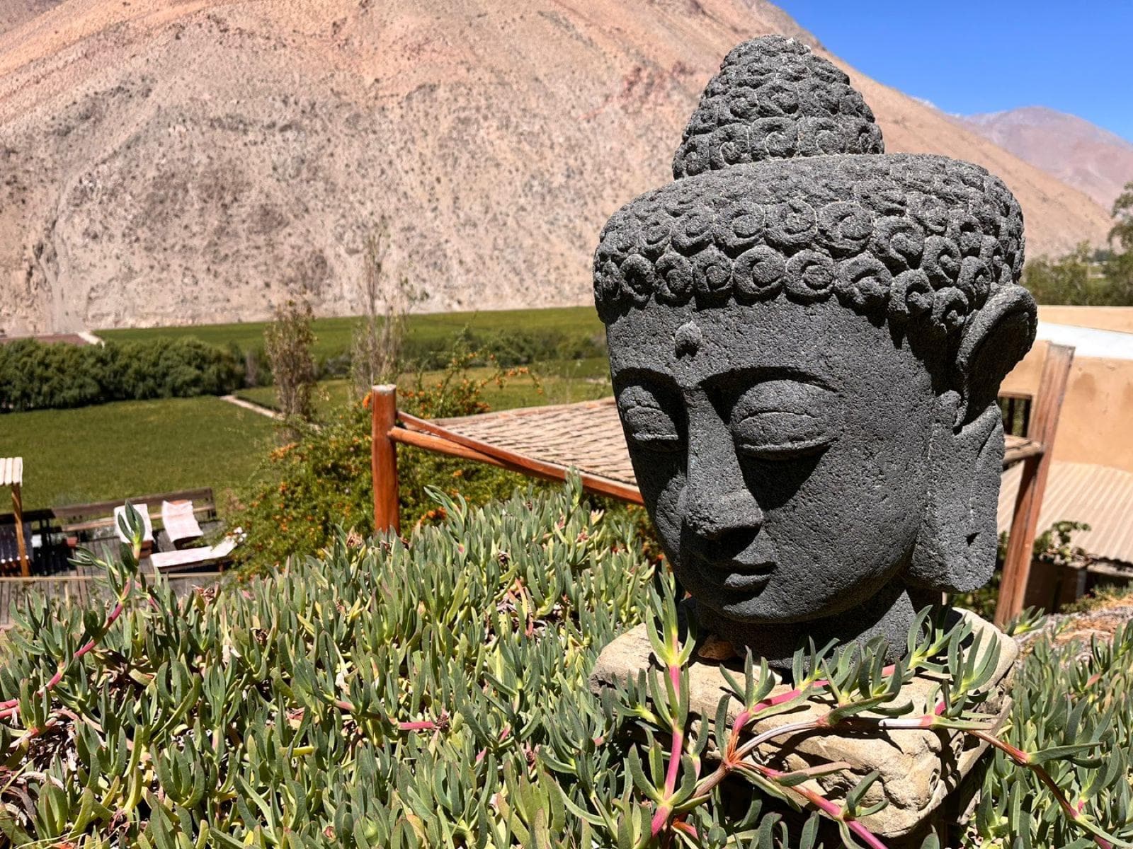 Jardín con escultura de Buda frente al valle